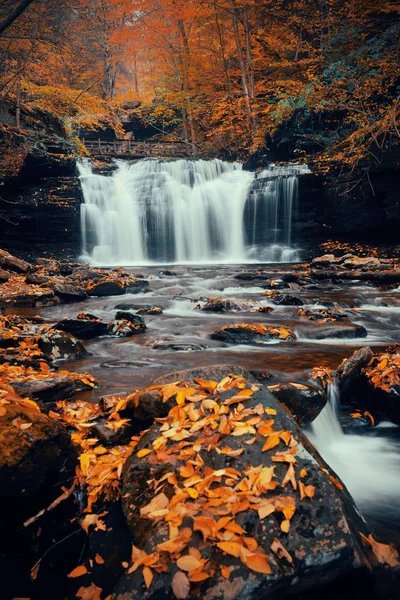 Őszi park vízesések — Stock Fotó