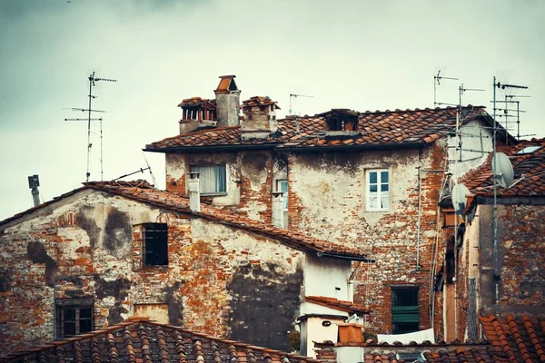 Tetti edifici Lucca — Foto Stock