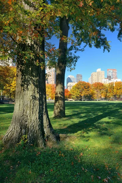 New York City — 图库照片