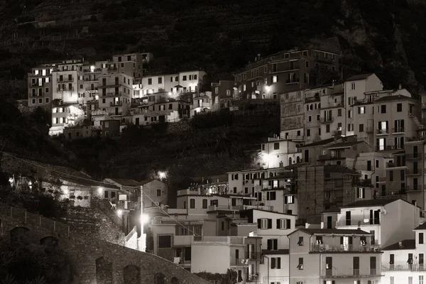 在渔村 manarola — 图库照片