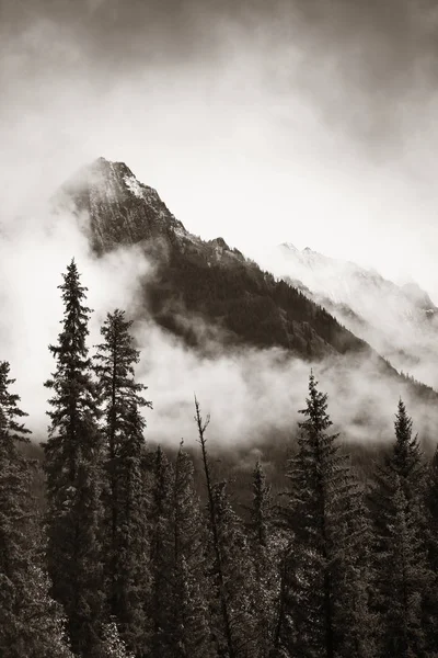 Nationaal park Banff — Stockfoto