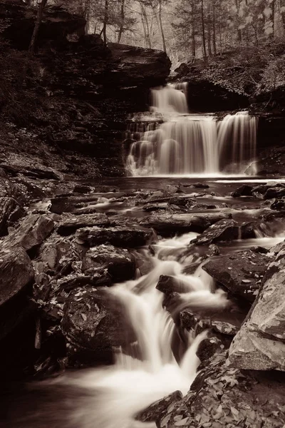 Siyah beyaz şelaleler