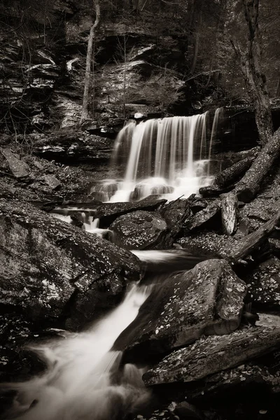 Siyah beyaz şelaleler