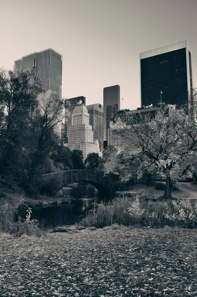 Central Park Autumn — Stock Photo, Image