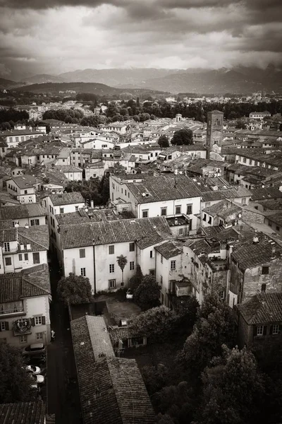 Lucca edificios históricos —  Fotos de Stock