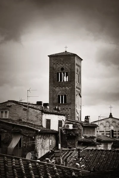 Lucca historických budov — Stock fotografie