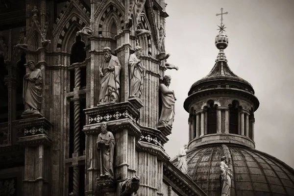 Ciudad medieval con Catedral de Siena — Foto de Stock