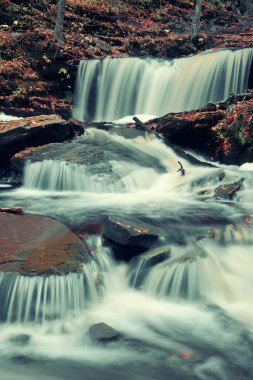 Park sonbahar şelaleler