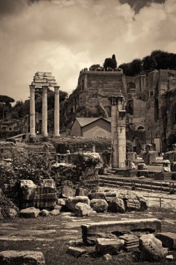 Roma Forumu kalıntıları ile