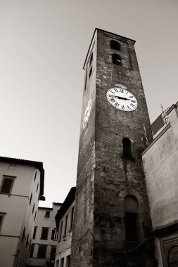 Lucca skyline tower 
