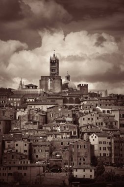 Siena Katedrali'nin binalar