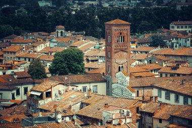 Lucca skyline tower 
