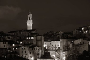 Lucca skyline tower 