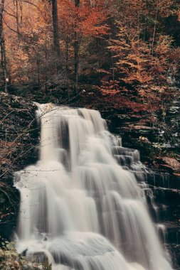 Park sonbahar şelaleler