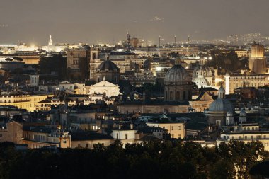 tarihsel mimarileri ile çatı görünümü.