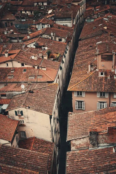 Lucca street view — Stockfoto