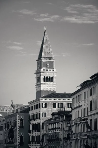 Lucca skyline tower — Stok fotoğraf