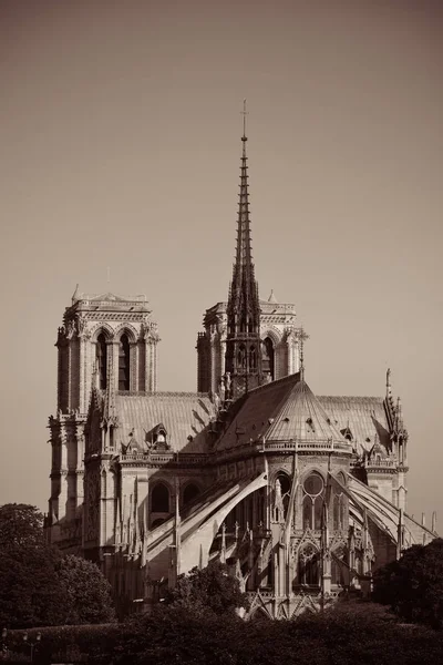 Katedrála Notre Dame Paříž — Stock fotografie