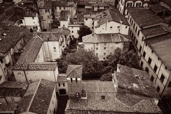 Lucca street view — Stock fotografie