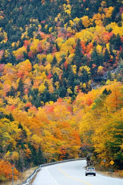 Carretera y follaje de otoño — Foto de Stock