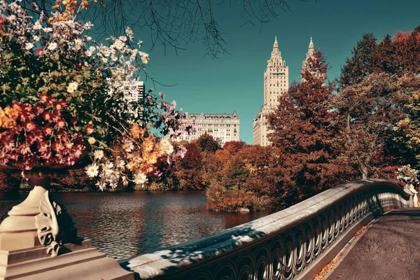 Central Park with skyline — Stock Photo, Image