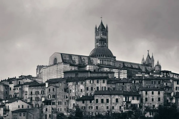 Sienas katedral med byggnader — Stockfoto