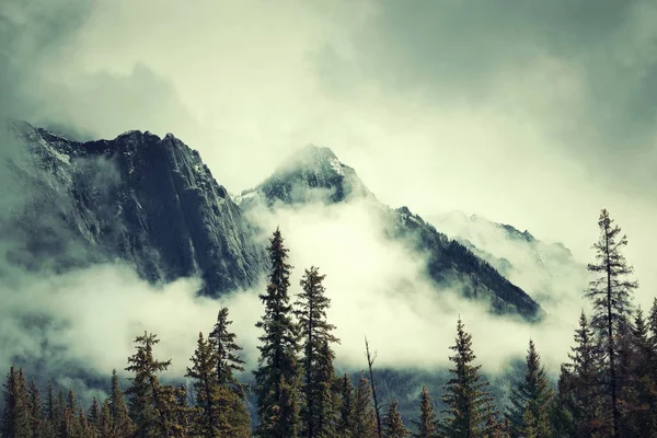 Banff Nemzeti Park — Stock Fotó