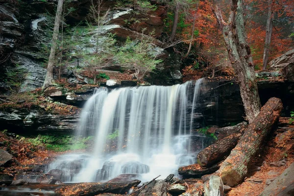 Watervallen van de herfst in park — Stockfoto