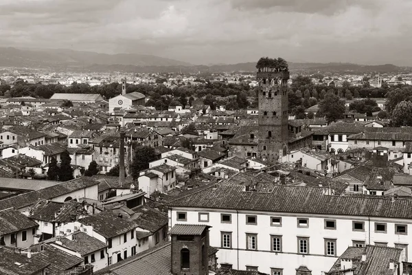 Lucca skyline toren — Stockfoto