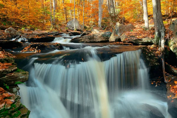 Cascadas de otoño en el parque — Foto de Stock