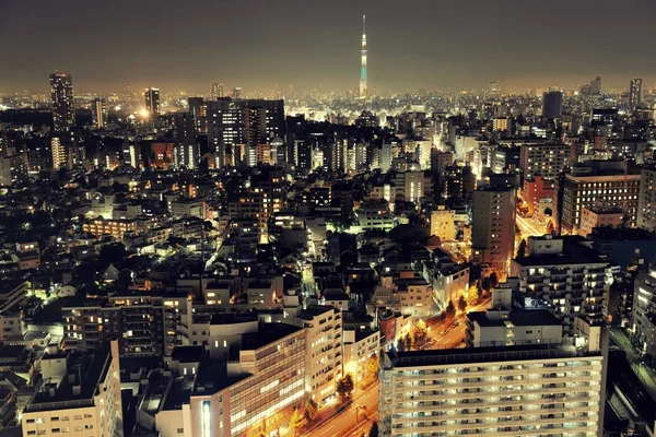 Vista para o telhado com arquiteturas históricas . — Fotografia de Stock