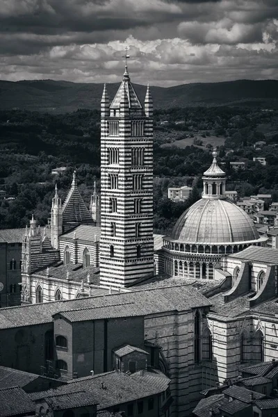 Catedral de Siena con edificios —  Fotos de Stock