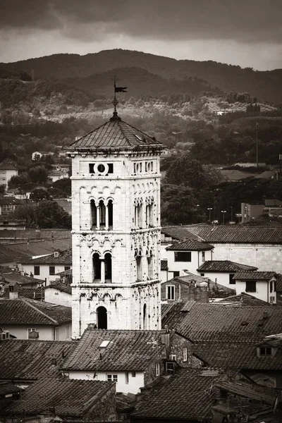 Lucca skyline toren — Stockfoto