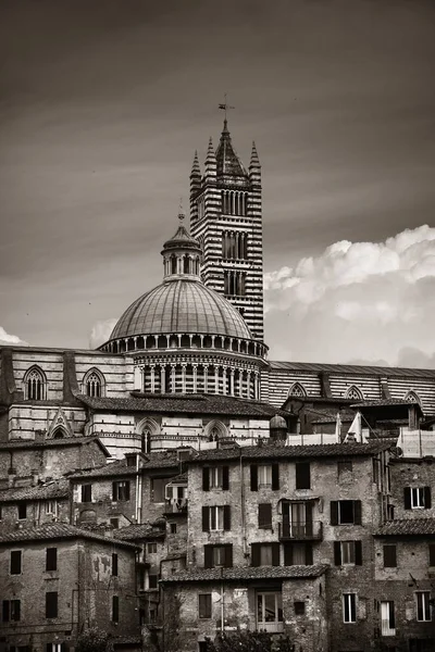 Kathedraal van Siena met gebouwen — Stockfoto