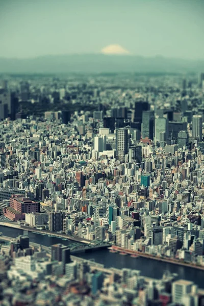 Vista para o telhado com arquiteturas históricas . — Fotografia de Stock