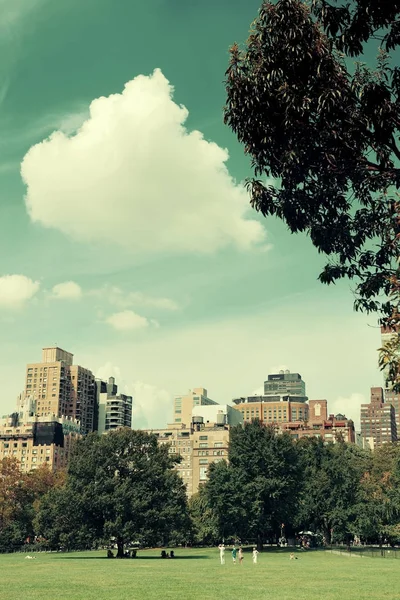 Central Park com horizonte — Fotografia de Stock