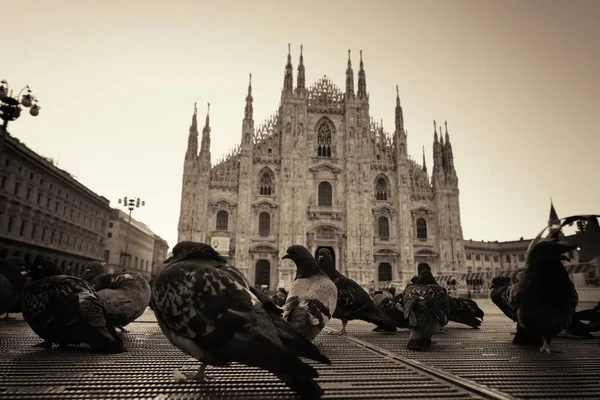 Ősi Piazza Olaszország. — Stock Fotó