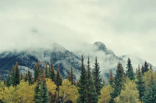 Banff nationalpark - Stock-foto