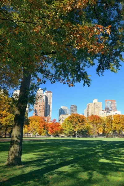 Central park met skyline — Stockfoto