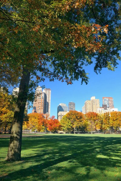 Central Park with skyline in midtown of Manhattan, New York City