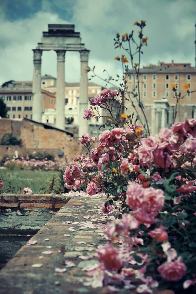 Ρώμη φόρουμ με ερείπια — Φωτογραφία Αρχείου