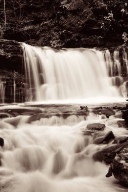 Siyah beyaz şelaleler