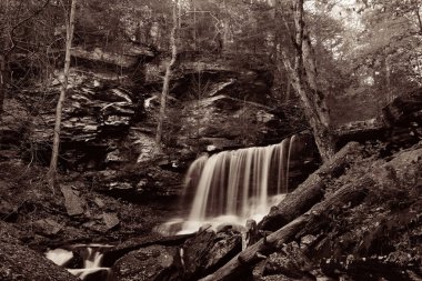 Siyah beyaz şelaleler