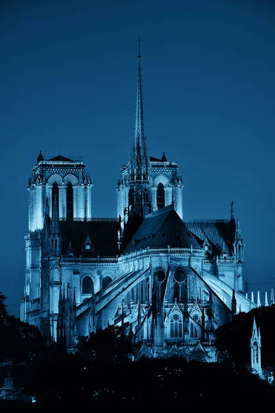 Notre Dame de Paris-ban. — Stock Fotó