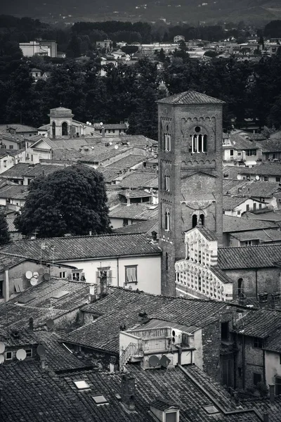 Torre del reloj Lucca —  Fotos de Stock