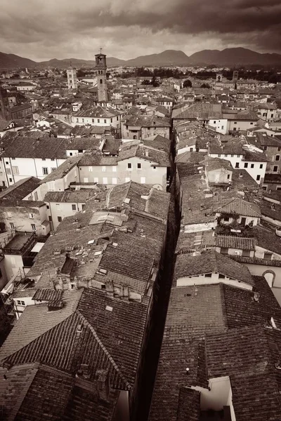 Vista para o telhado Lucca com montanha — Fotografia de Stock