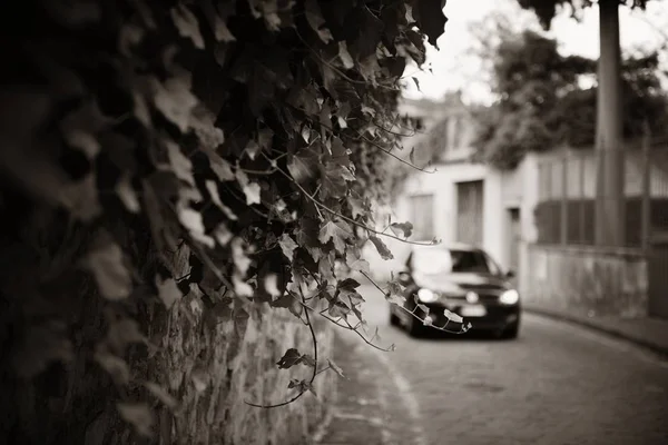 Florence Street view — Stock Photo, Image