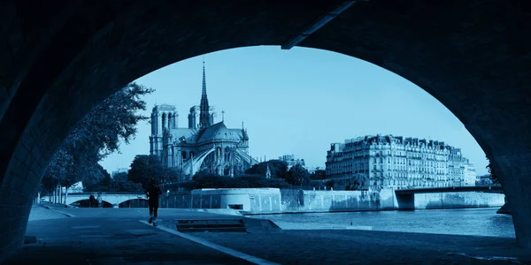 Notre-Dame cathedral — Stock Photo, Image