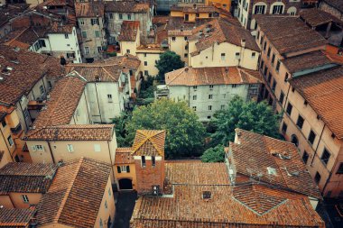 Lucca görünümünün üst