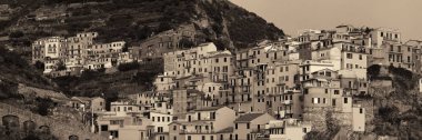 Cinque Terre 'deki Manarola binaları 